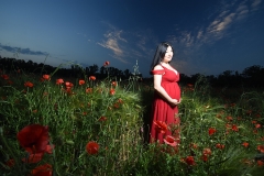 grossesse-photographe-toulouse-exterieur-fleursjpg