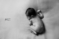 Lucas-Naissance-GB-studiophoto.com_-221-