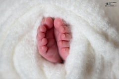 Lucas-Naissance-GB-studiophoto.com_-231-
