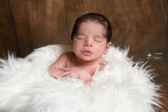 Lucas-Naissance-GB-studiophoto.com_-235-