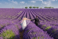 photographe-mariage-champs-de-lavande-valensole-GB-studiophoto.com_