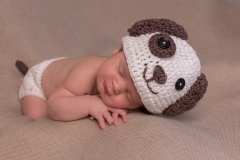 2_balma-photographe-naissance-original-deguise-GB-studiophoto.com_