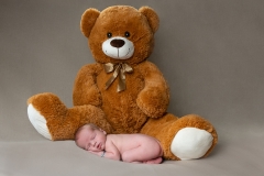 2_daux-photographe-naissance-bebe-doudou-peluche-GB-studiophoto.com_