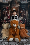 seance-photo-de-noel-avec-des-decors-et-des-peluches-a-blagnac